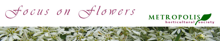 Logo and headline